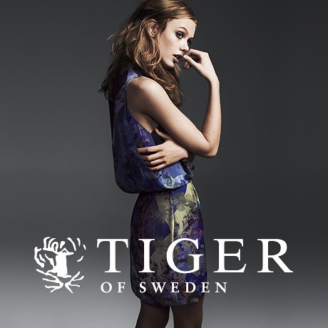 Tiger of Sweden Banner